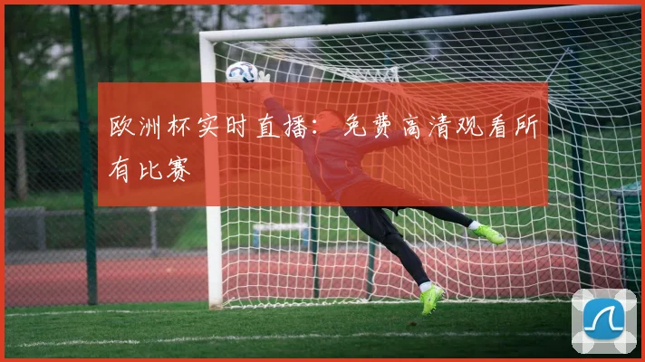 欧洲杯实时直播:免费高清观看所有比赛