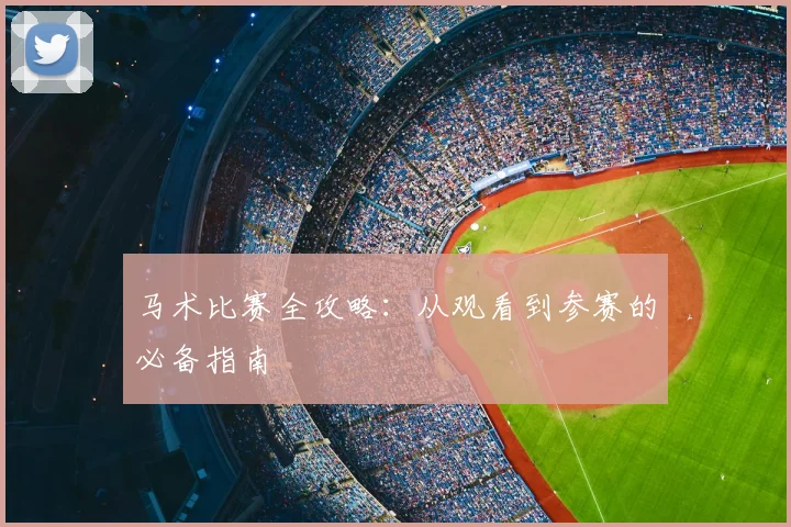 马术比赛全攻略：从观看到参赛的必备指南